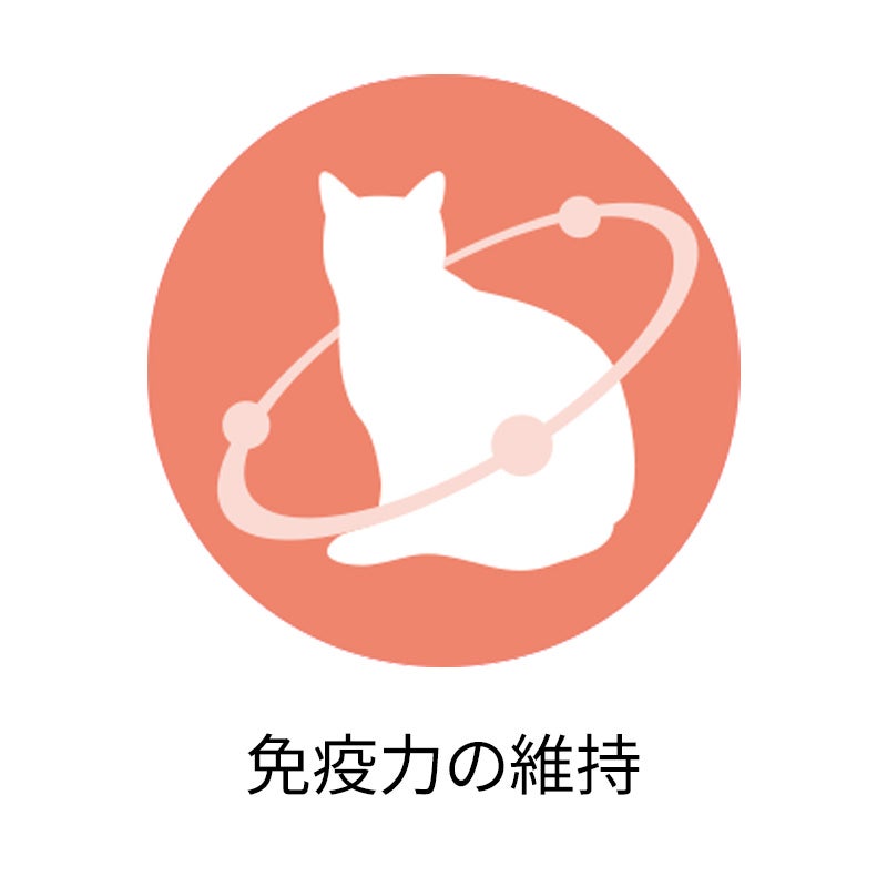 パウチ]美味を求める成猫用 フィッシュ グレービー仕立て - ピュリナ